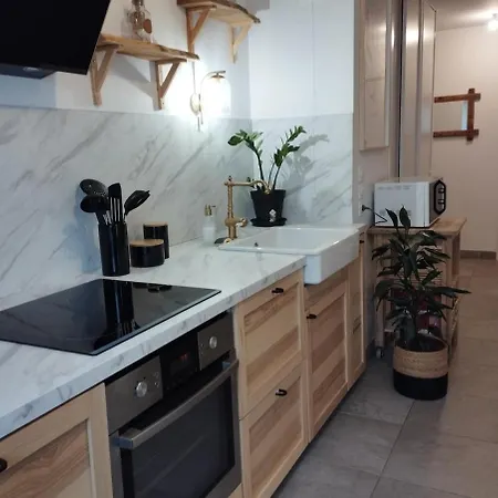 Apartment L'ecrin Berjallien Bourgoin-Jallieu